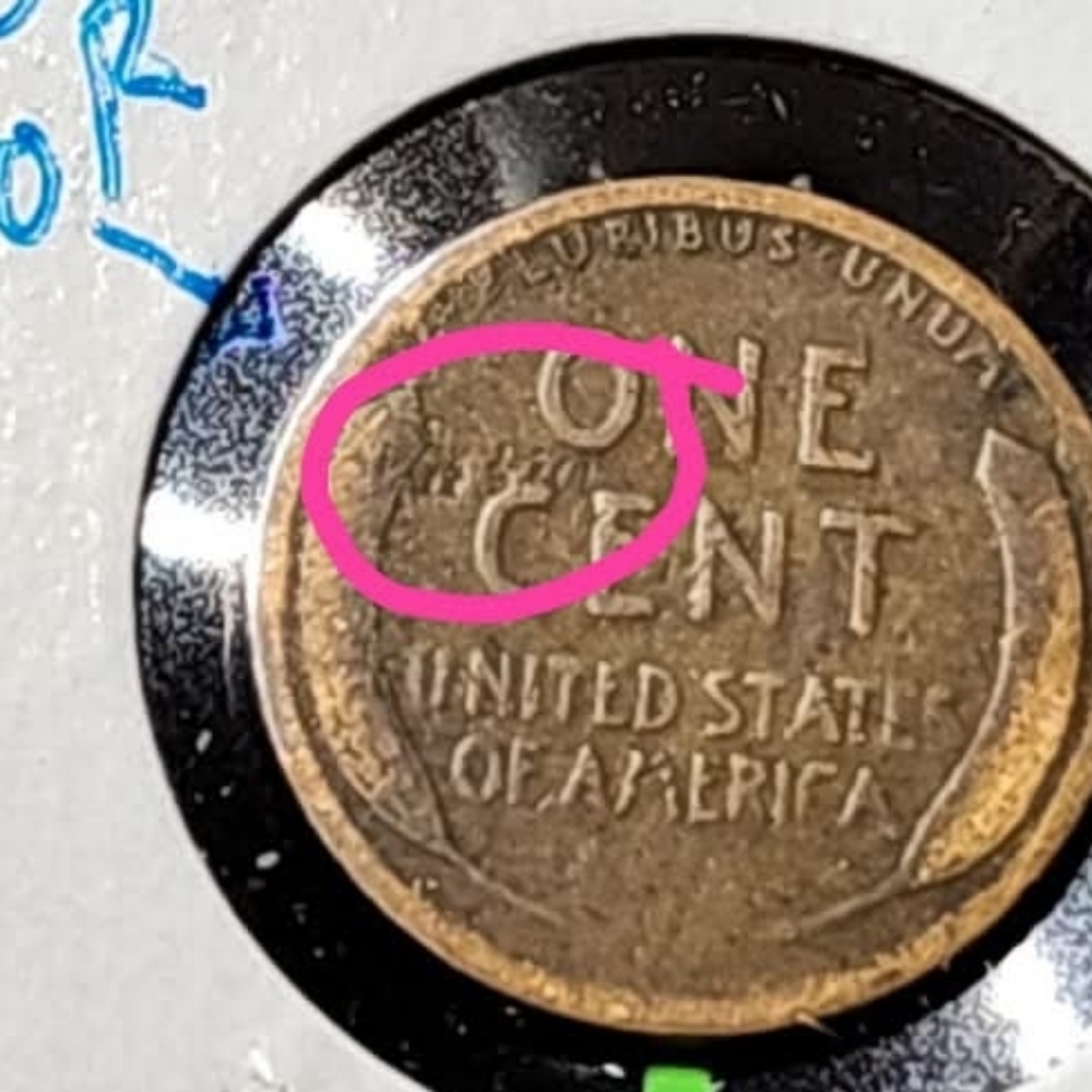 1919 transitional error wheat cent - Picture 3 of 4